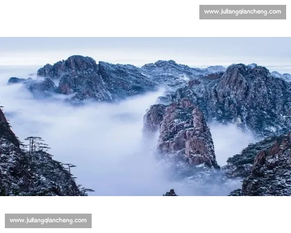 卢高vs艾科坎巅峰对决技术流与力量派的全面碰撞解析看点前瞻深